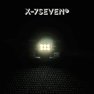 X-FEST Super Bright 10W 1000LM LED AUTO BULB